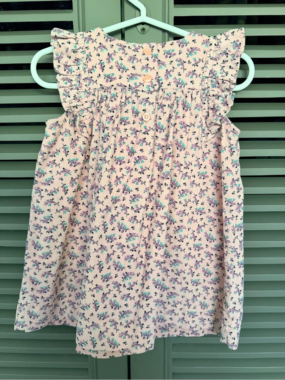 Baby GAP Pink Floral Ruffle-Sleeve Fine Corduroy Dress